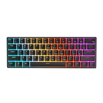 H61K Black Mechanical Keyboard Hot Swappable USB Type-C RGB 61 Keys (Red Switch)