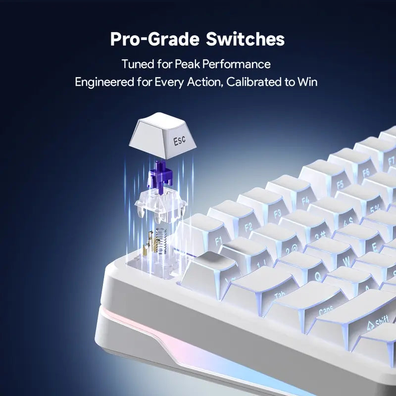 FC75 Pro Gasket Mechanical Keyboard