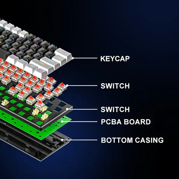 ZIFRIEND BD61S 61-Key RGB Mechanical Keyboard Switch – Black & White